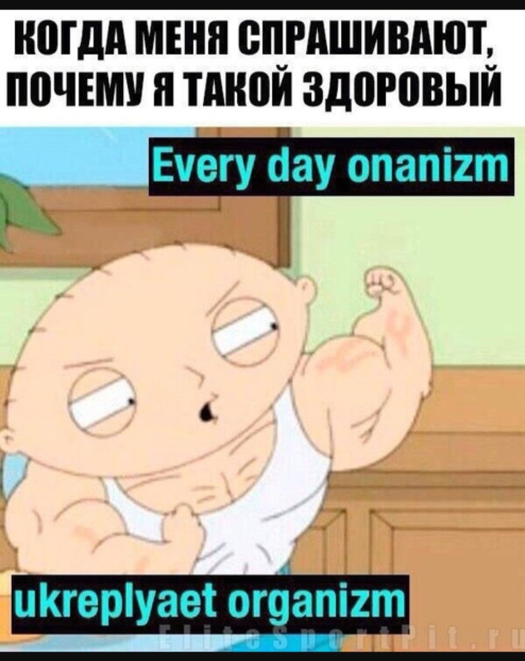 КОГДА МЕНЯ СПРАШИВАЮТ, ПОЧЕМУ Я ТАКОЙ ЗДОРОВЫЙ
Every day onanizm
ukreplyaet organizm