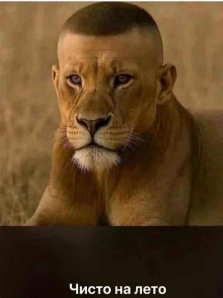 Чисто на лето