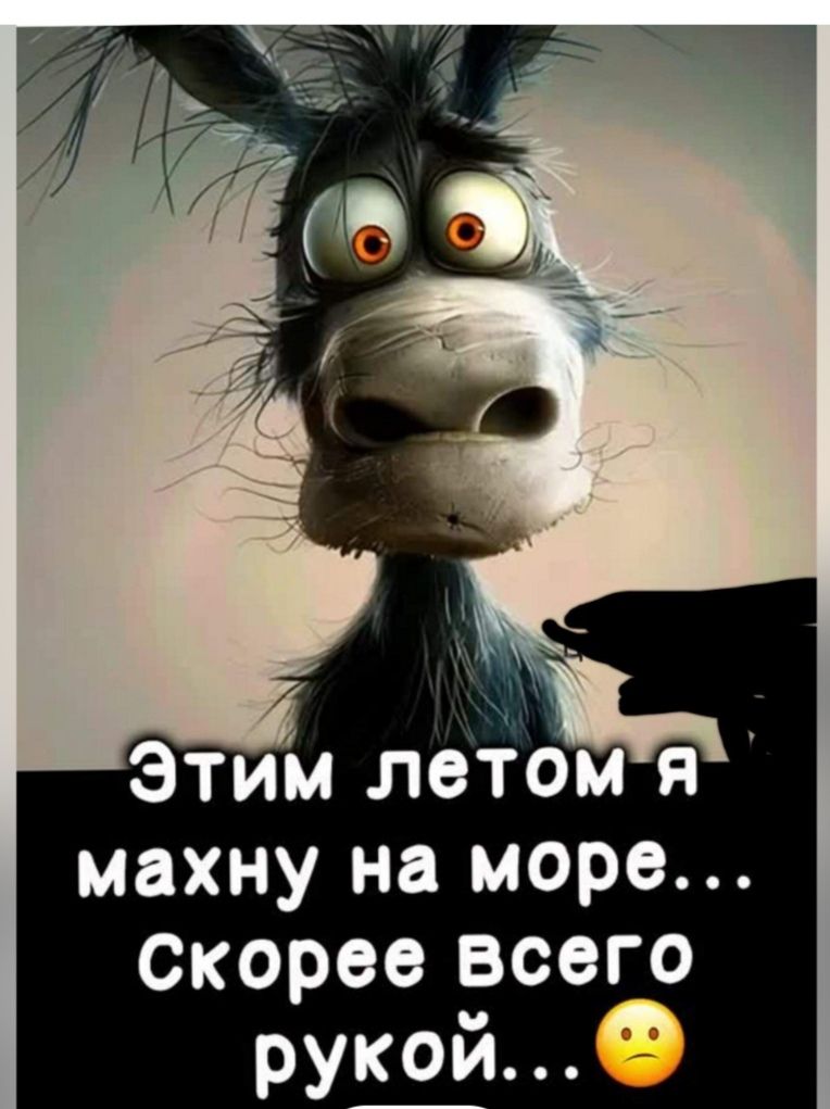 Этим летом я махну на море... Скорее всего рукой...😟