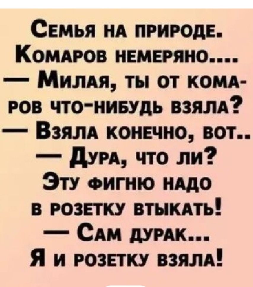 Семья на природе. Комаров немеряно.... — Милая, ты от комаров что-нибудь взяла? — Взяла конечно, вот.. — Дура, что ли? Эту фигню надо в розетку втыкать! — Сам дурак.... Я и розетку взяла!