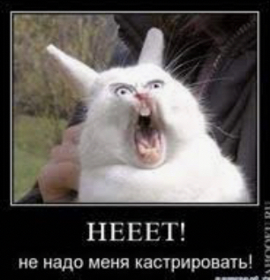 НЕВЕТ не надо меня кастрировать