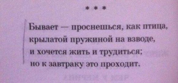 Бывает проснешься как птица крылатой пружиной на взводе и хочется жить и трудиться но к завтраку это проходит