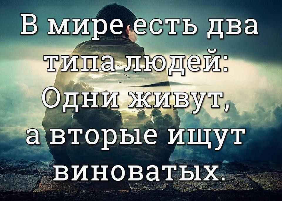 аё вторые ищут виноватых