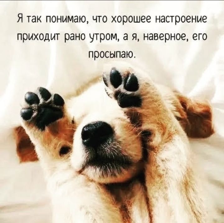 Я так понимаю что хорошее настроение приходит рано утром а я наверное его просыпаю