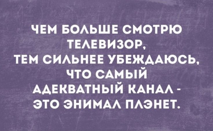 ЧЕМ БОЛЬШЕ СМОТРЮ ТЕЛЕВИЗОР ТЕМ СИЛЬНЕЕ УБЕЖДАЮСЬ ЧТО САМЫЙ АДЕКВАТНЫЙ КАНАЛ ЭТО ЭНИМАЛ ПЛЭНЕТ