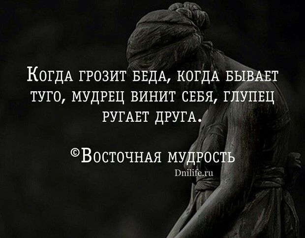 Когда ГРОЗИТ БЕДА КОГДА БЫВАЕТ ТУГО МУДРЕЦ ВИНИТ СЕБЯ ГЛУПЕЦ РУГАЕТ ДРУГА Восточная мудгосту Ройели 77