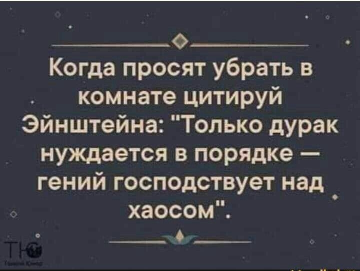 Ф Когда просят убрать в комнате цитируй Эйнштейна Только дурак нуждается в порядке гений господствует над хаосом о