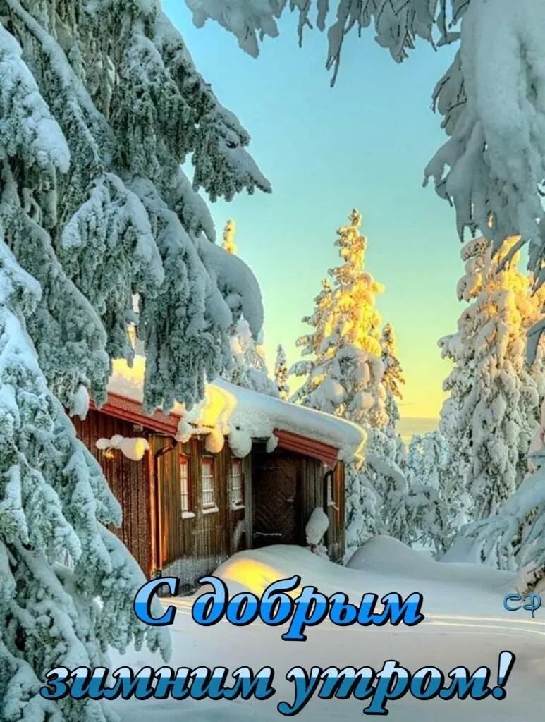 С добрым зимним утром!