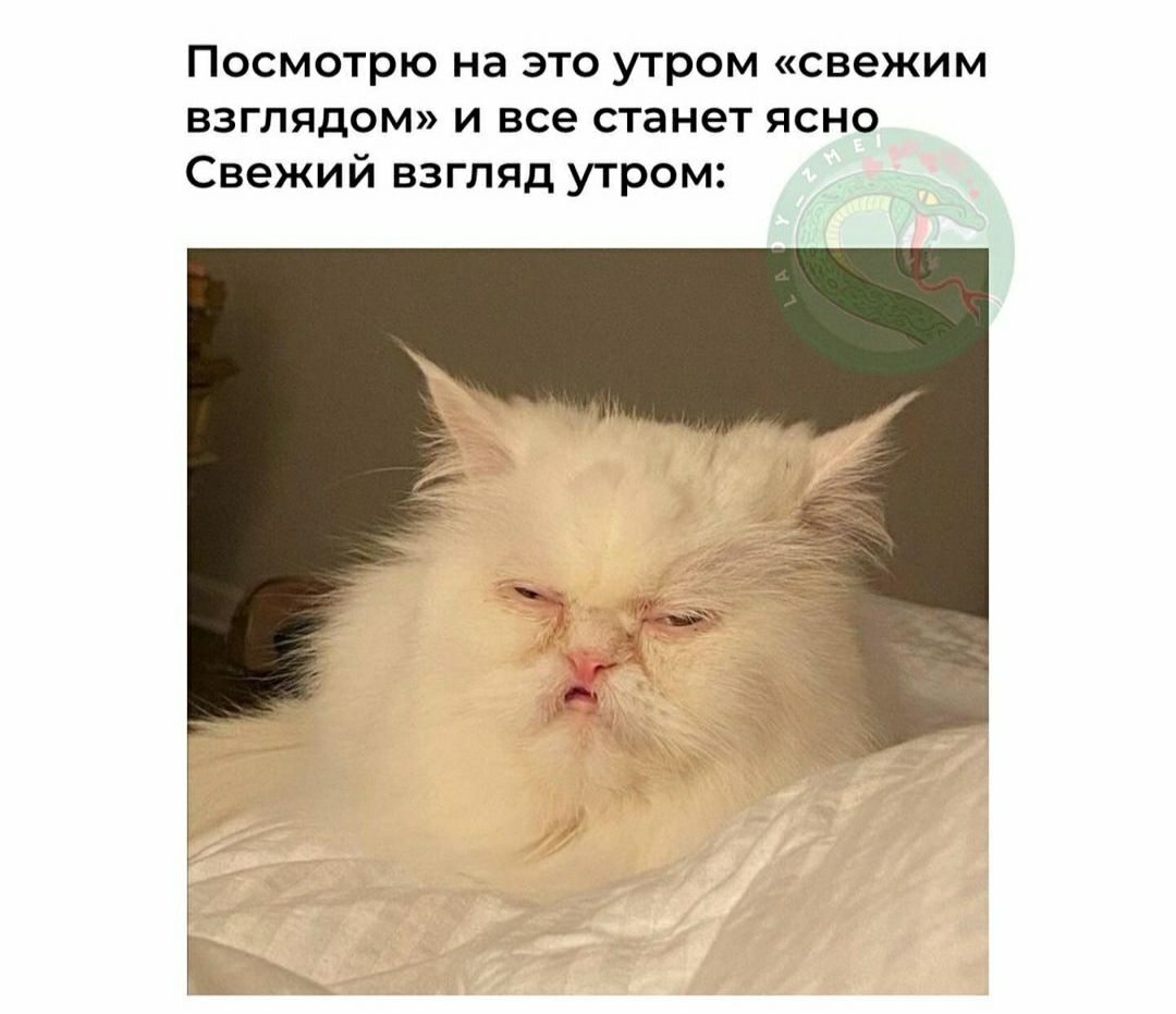 Посмотрю на это утром свежим взглядом и все станет ясно Свежий взгляд утром