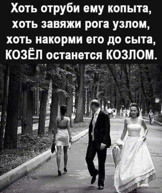 Хоть отруби ему копыта хоть завяжи рога узлом хоть накорми его до сыта КОЗЁЛ останется КОЗЛОМ