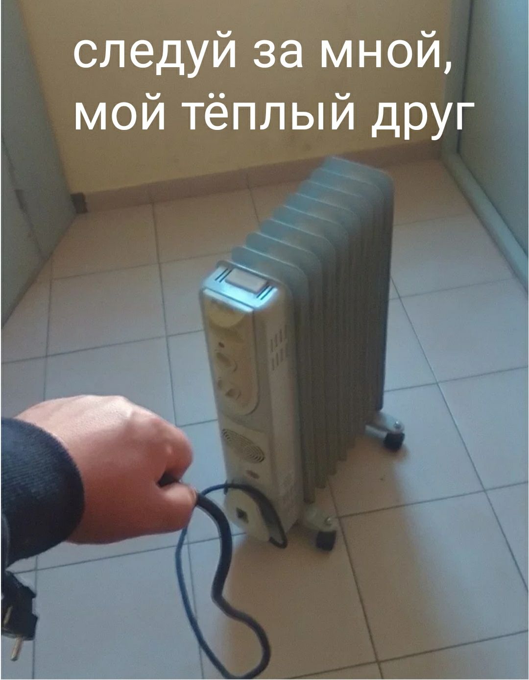 следуй за мной мой тёплый друг