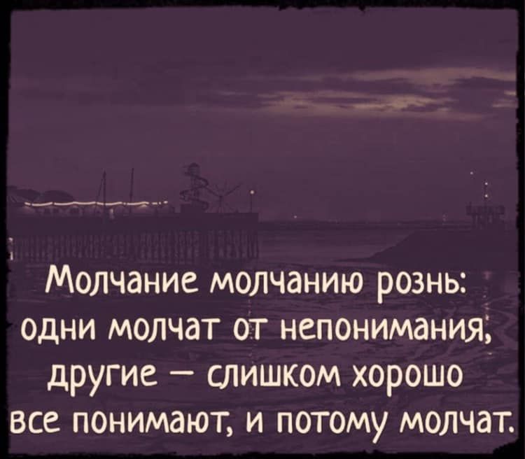 Молчание молчанию рознь одни молчат от непонимания другие слишком хорошо все понимают и потому молчат