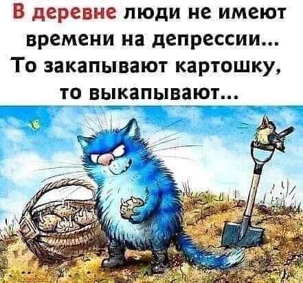 В деревне люди не имеют времени на депрессии То закапывают картошку то выкапывают