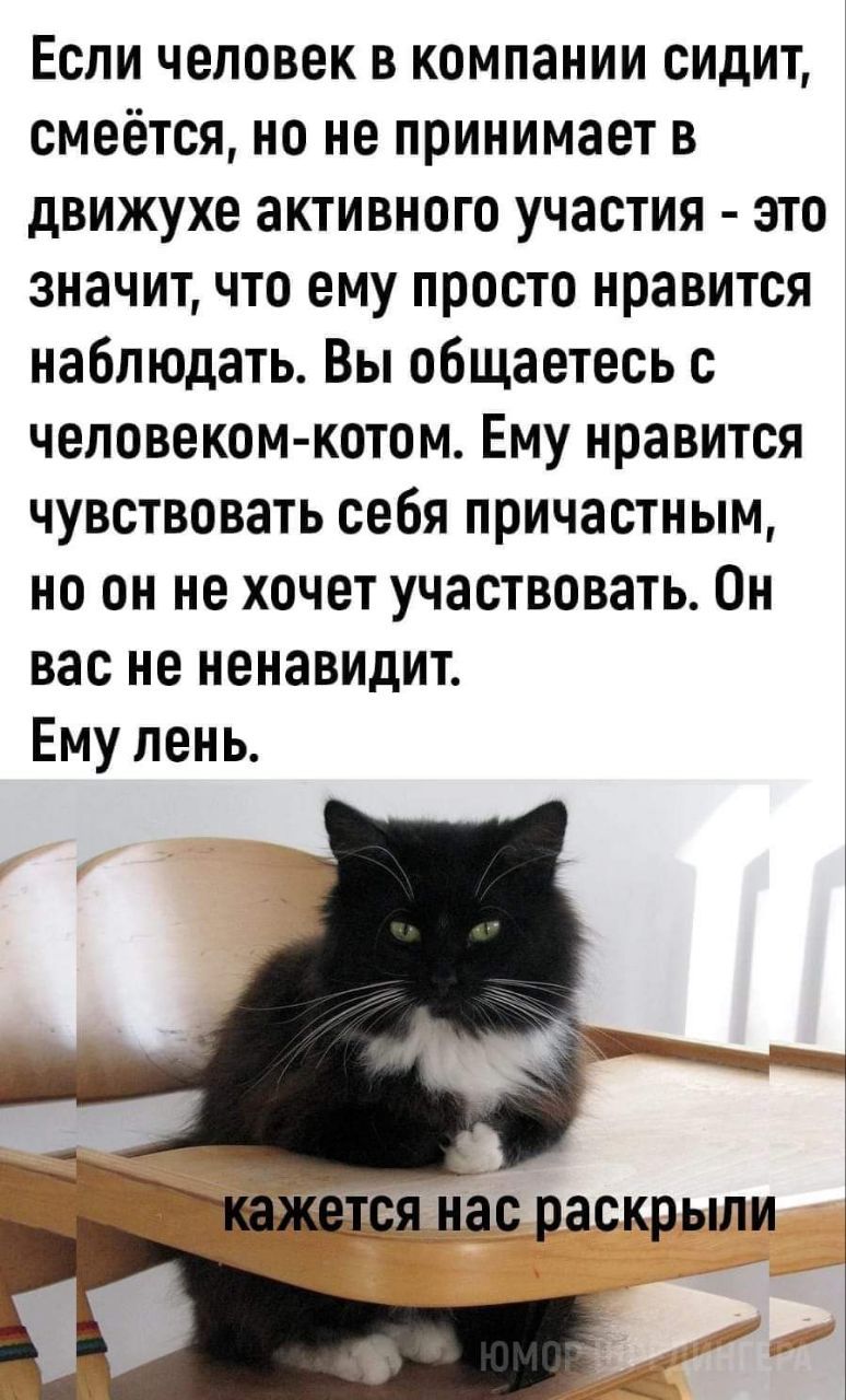 Если человек в компании сидит смеётся но не принимает в движухе активного участия это значит что ему просто нравится наблюдать Вы общаетесь с человеком котом Ему нравится чувствовать себя причастным но он не хочет участвовать Он вас не ненавидит Ему лень ъвшдя нас раскрыли а