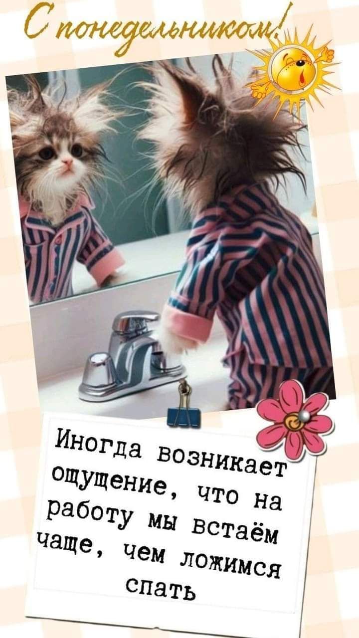 С понедельникот Р