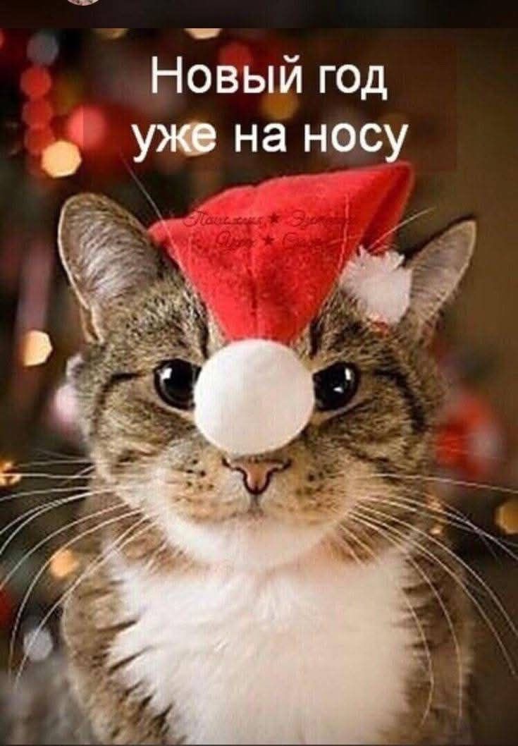 Новый год е УЖе на носу