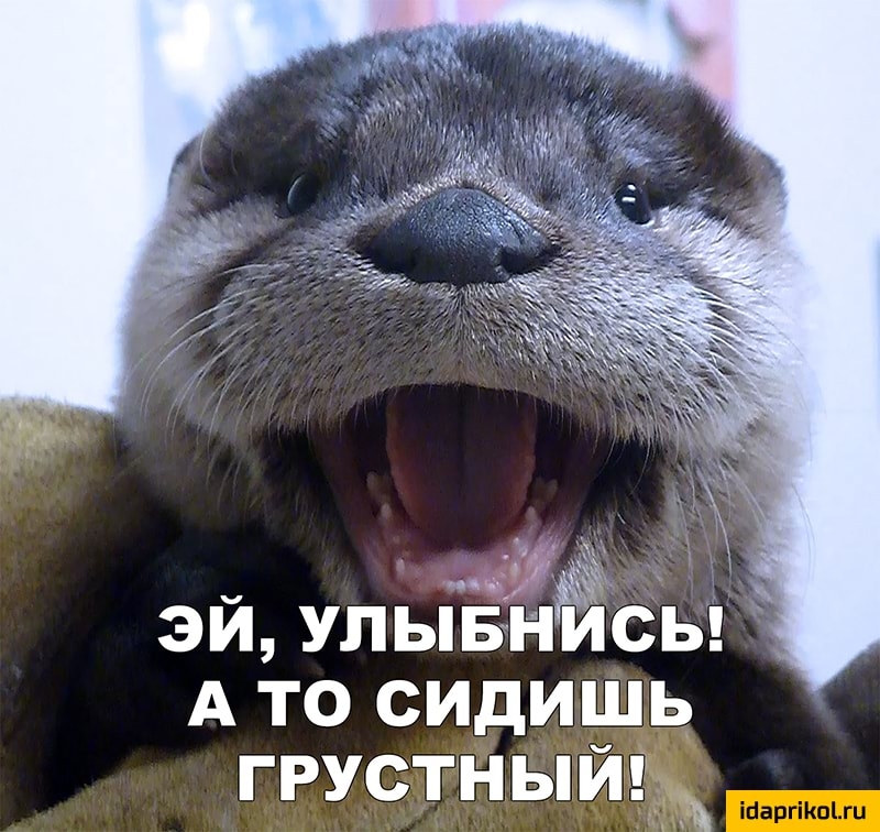 эй улыЁі п3 сы А то сидишь грустныи