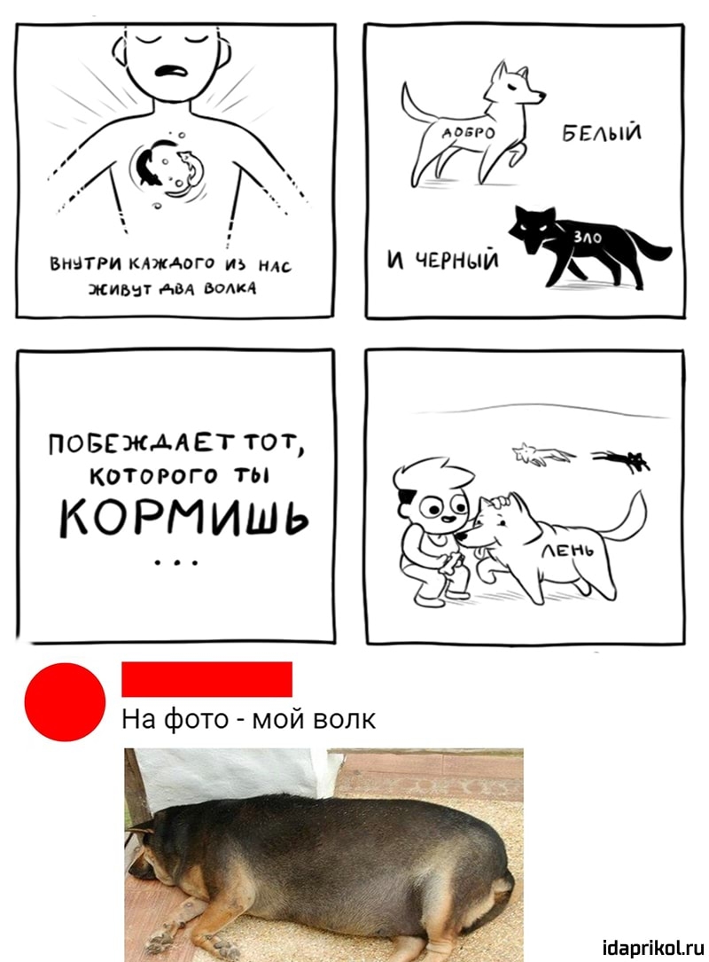 0 БЕАЬМ и черный ВИЧТРИ КАЖДОГО ИЗ АС мим г АВА МАМ повсждлет тот КОТОРОГО ТЫ КОРМИШЬ На фото мой волк іааргіішыи