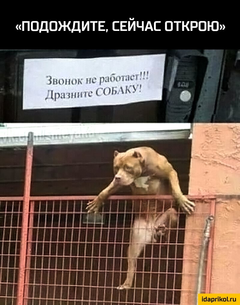 подождитв свйчдс ОТКРОЮ