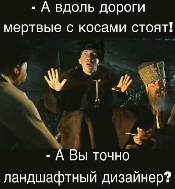 А вдоль дороги мертвые с косами стоят і г Вы точно ландшафтный дизайнер