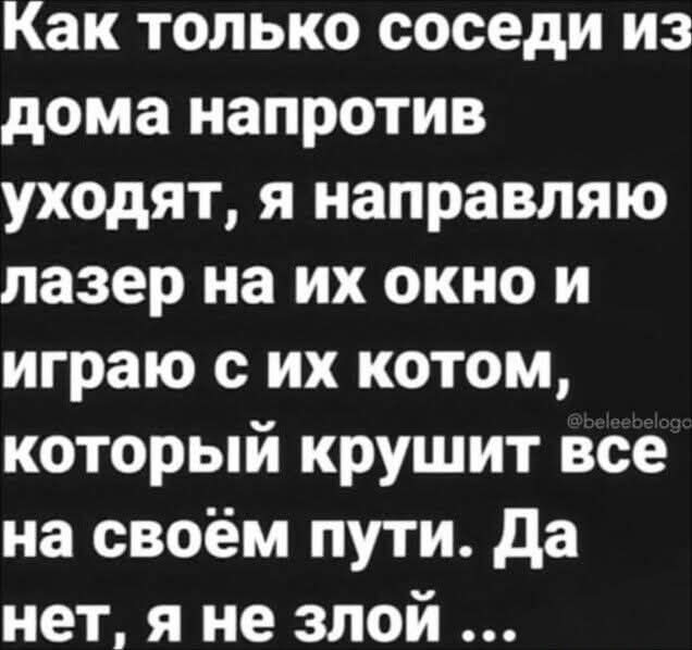 Как только соседи из дома напротив уходят я направляю лазер на их окно и играю с их котом который крушит все на своём пути Да нет я не злой