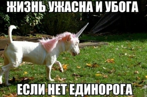 ип _ШИЗИБ ИИАВИА И ИБЩА 83 нёпиёішшиніітгді