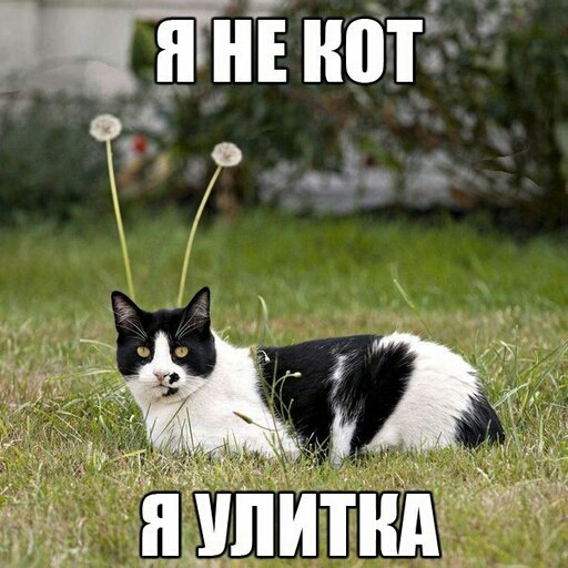 тм
