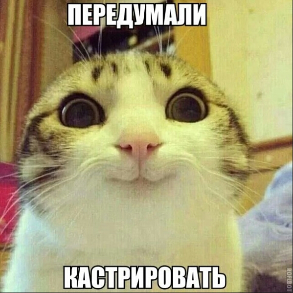 ндстгиговдть