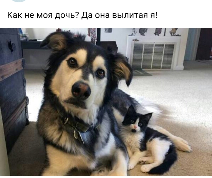 Как не моя дочь Да она вылитая я
