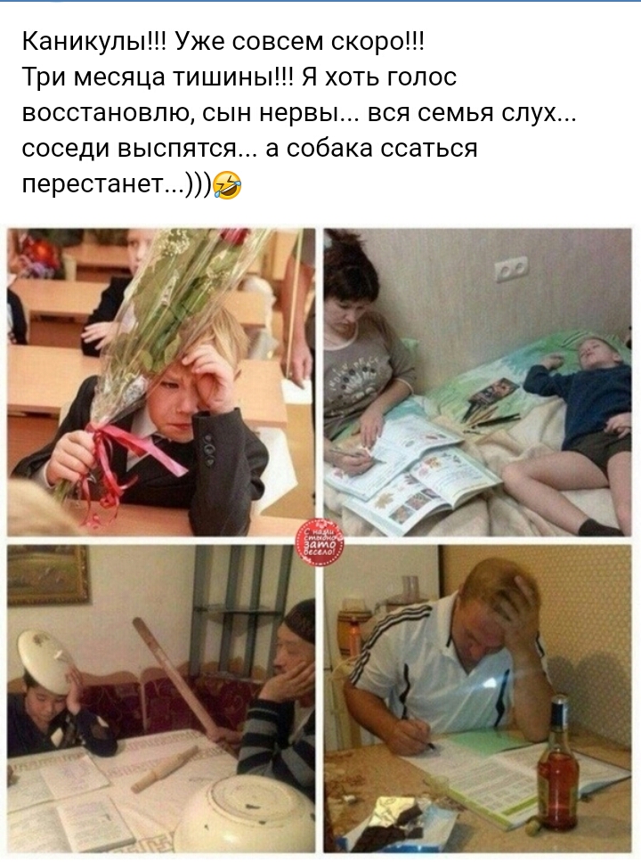 Каникулы Уже совсем скоро Три месяца тишины Я хоть голос восстановлю сын нервы вся семья слух соседи выспятся а собака ссаться перестанете