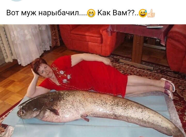 Вот муж нарыбачилё Как Вам