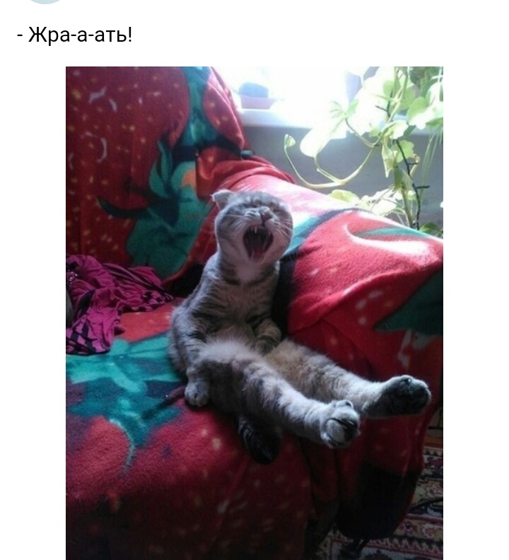 Жра а ать