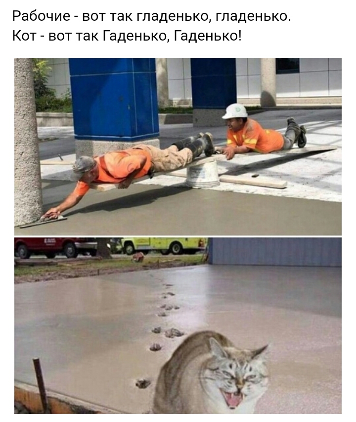 Рабочие вот так гладенько гладенько Кот вот так Гаденько Гаденько
