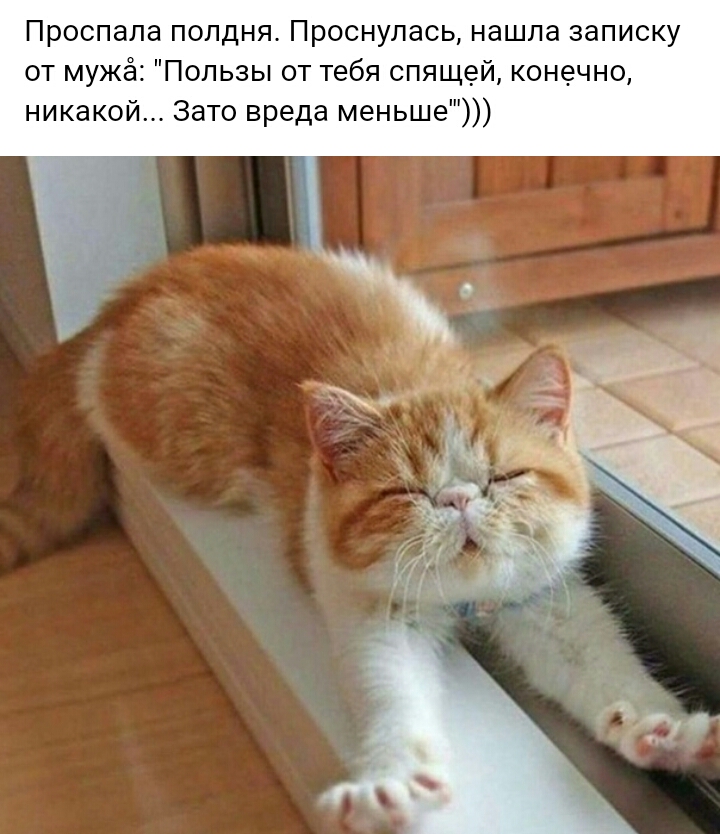 Проспапа полдня Проснулась нашла записку от мужё Пользы от тебя спящей конечно Зато вреда меньше