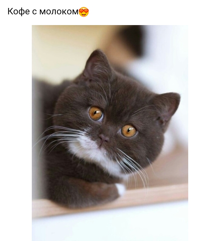 Кофе с молоком