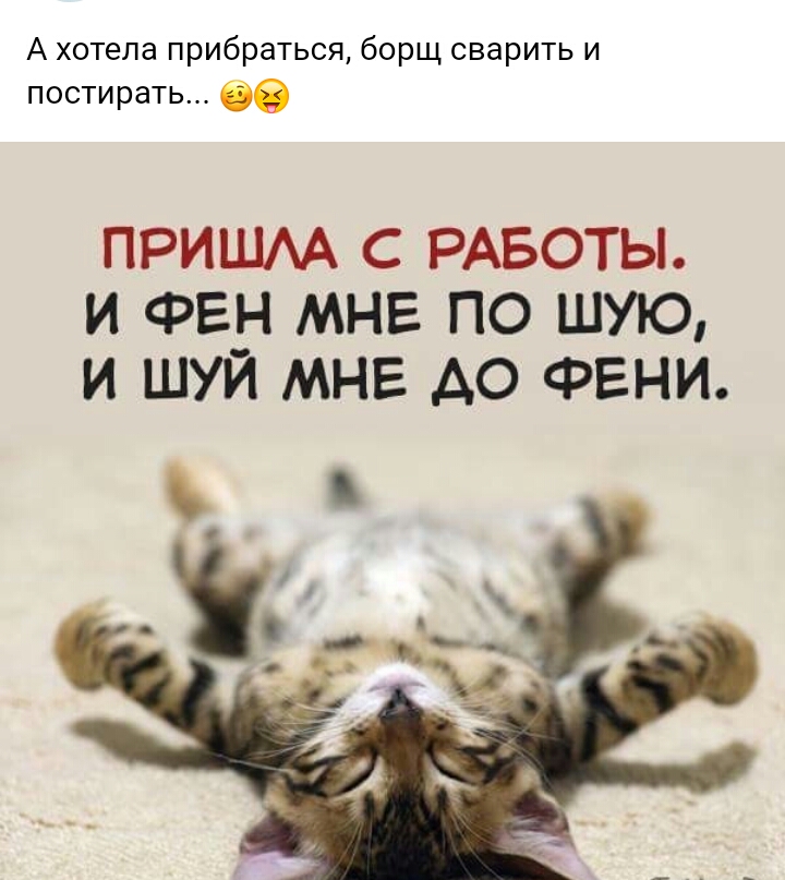 А хотела прибраться борщ сварить и постирать бе ПРИШАА С РАБОТЫ И ФЕН МНЕ ПО ШУЮ И ШУЙ МНЕ АО ФЕНИ
