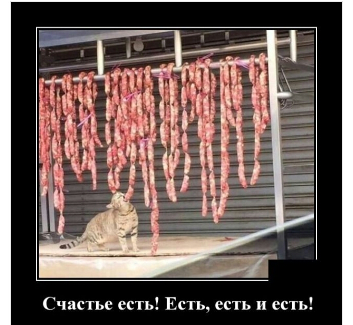 Счастье есть Есть есть и есть