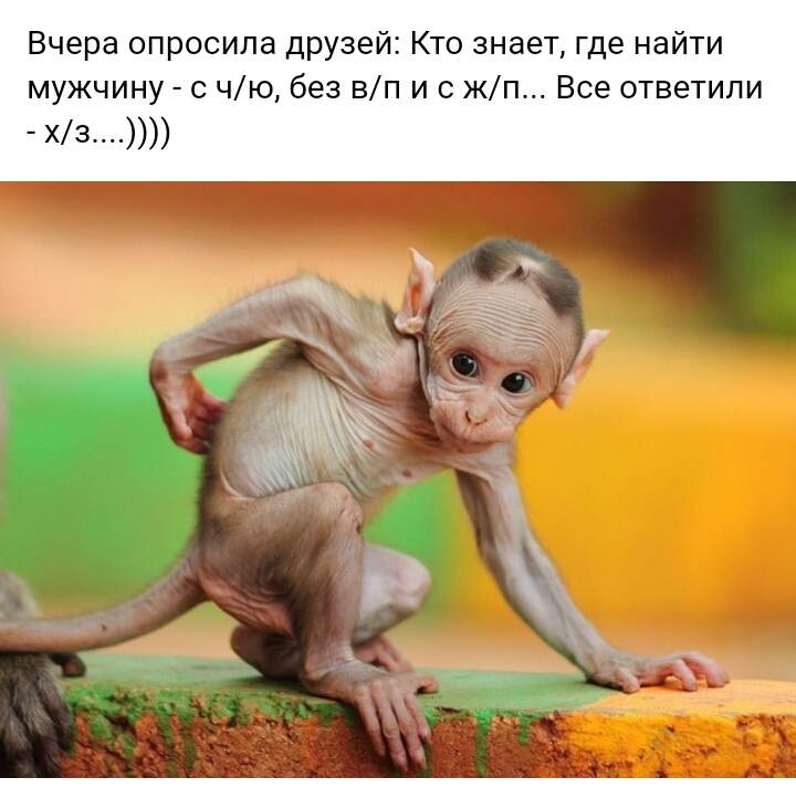 Вчера опросила друзей Кто знает где найти мужчину с чю без вп и с жп Все ответили хз