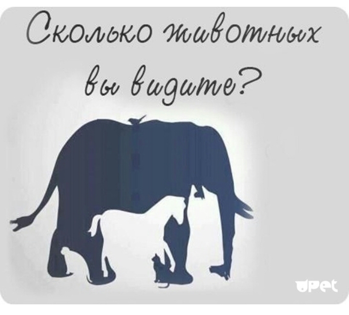 Око шёОИММХ Йео датопид