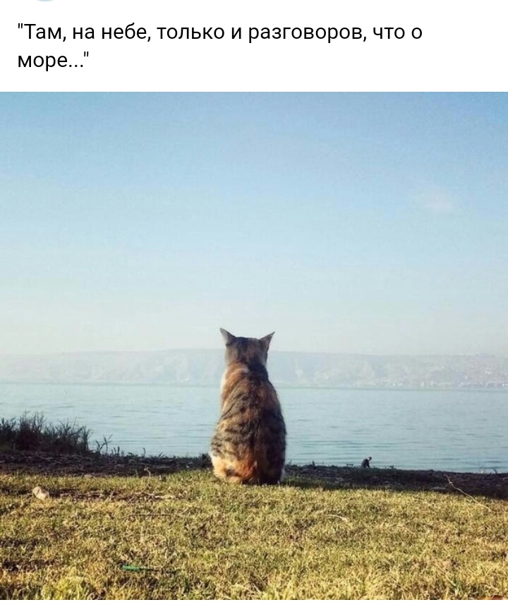Там на небе только и разговоров что 0 море Щ