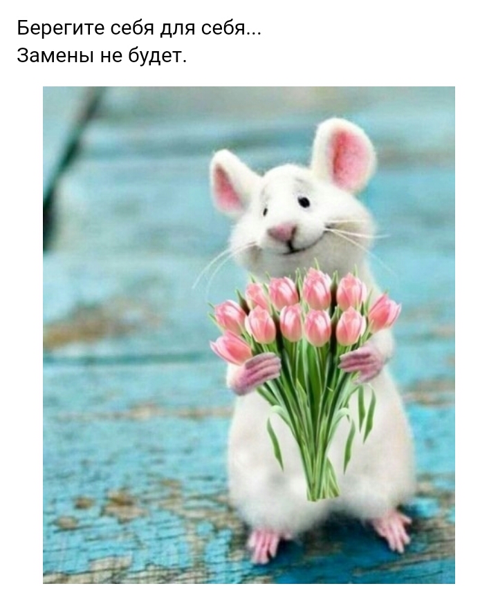 Берегите себя для себя Замены не будет