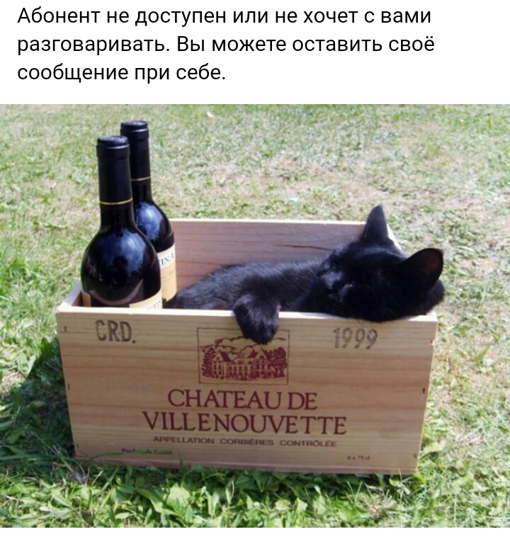 Абонент не доступен или не хочет с вами разговаривать Вы можете оставить своё сообщение при себе