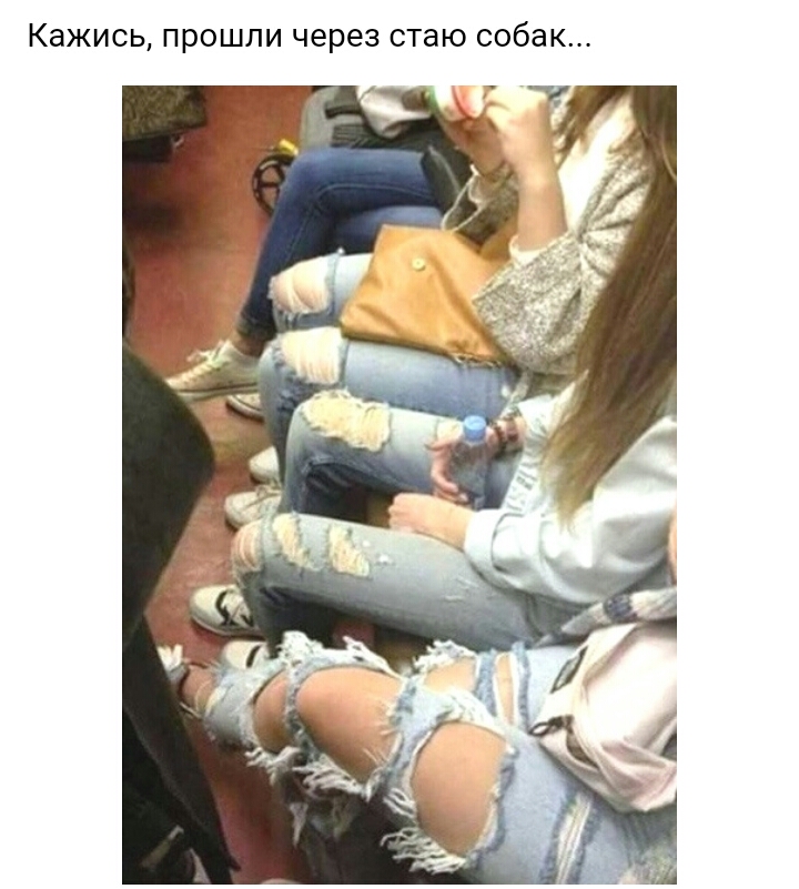 Кажись прошли через стаю собак тг _