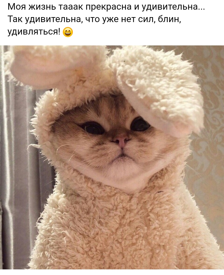 Моя ЖИЗНЬ ТааЭК прекрасна И удивительна Так удивительна что уже нет сил бпин удивляться