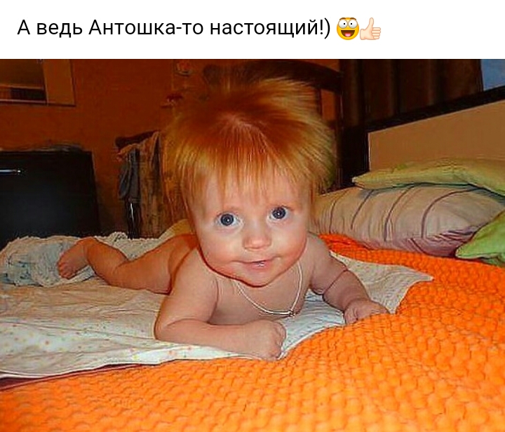 А ведь Антошка То настойщий