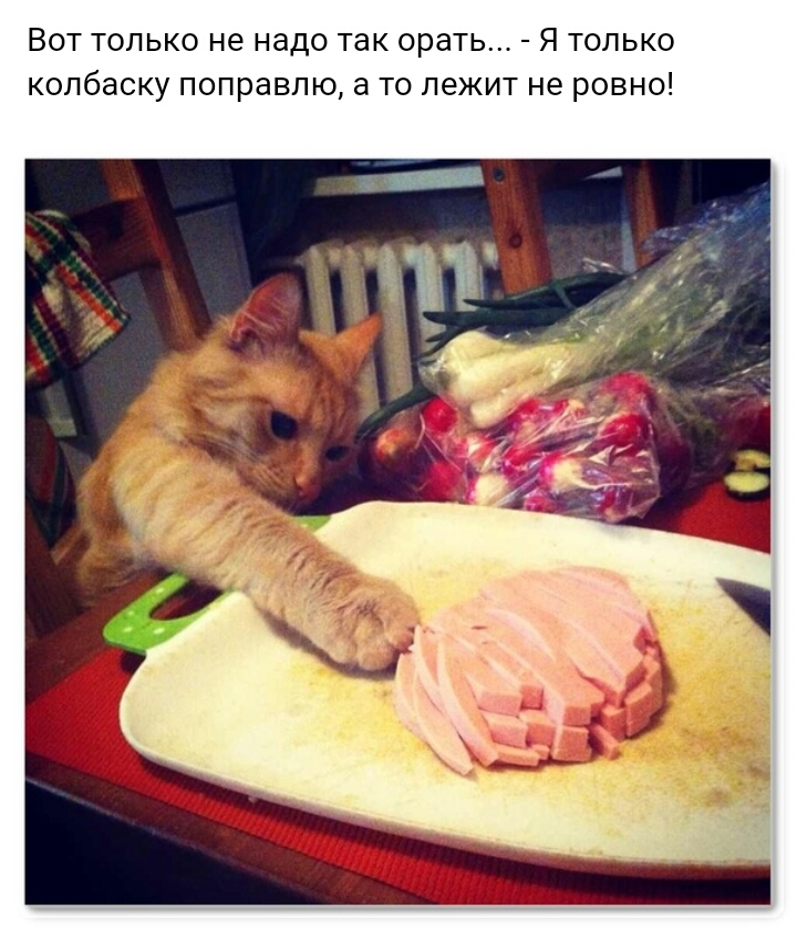 Вот только не надо так орать Я только колбаску поправлю а то лежит не ровно