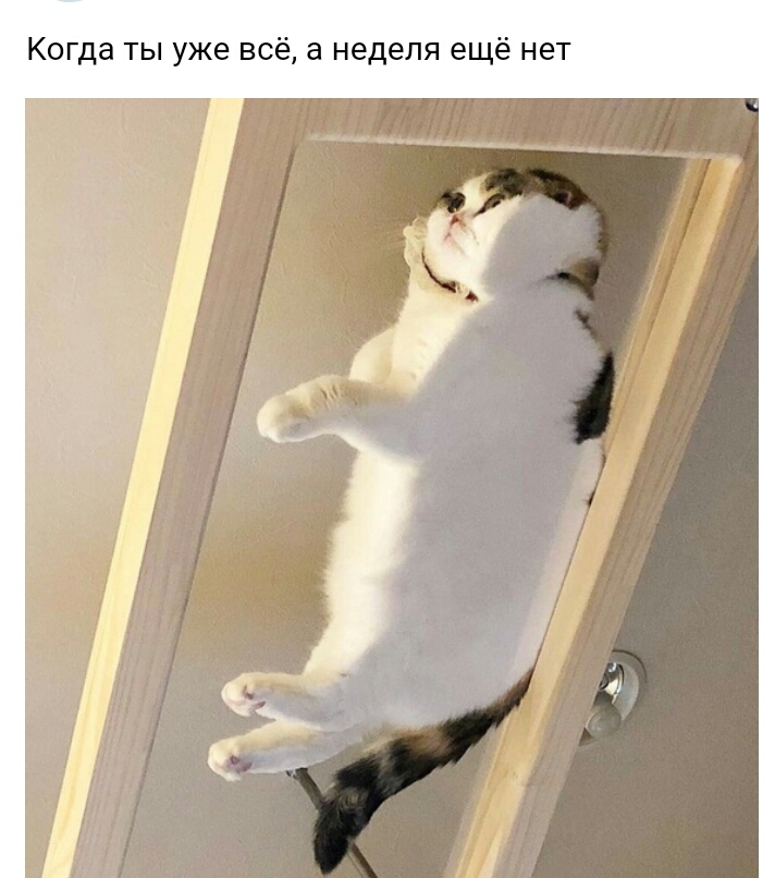 Когда ты уже всё а неделя ещё нет