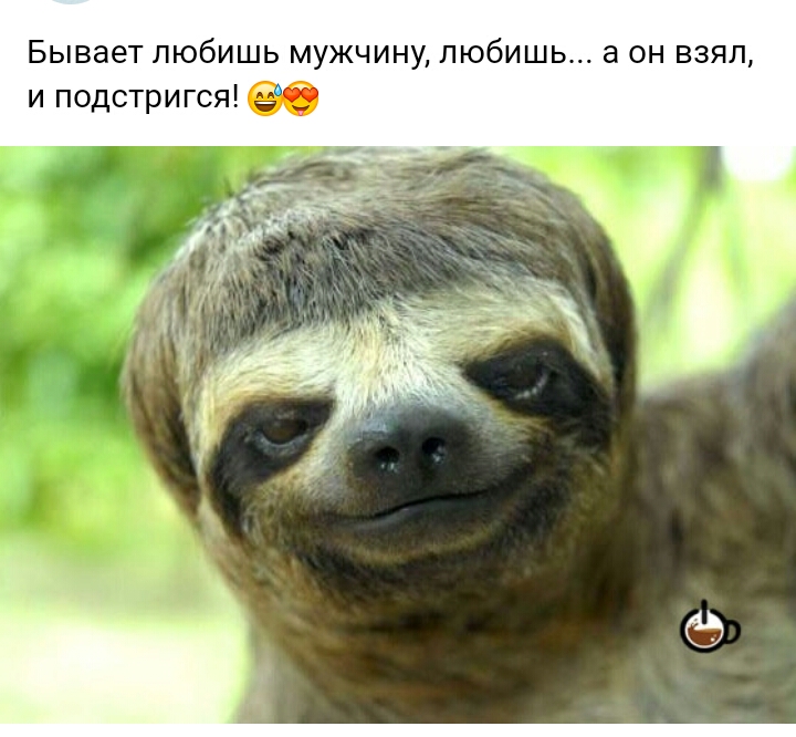 Бываетлюбишь мужчину любишь а он взял и подстригся 6