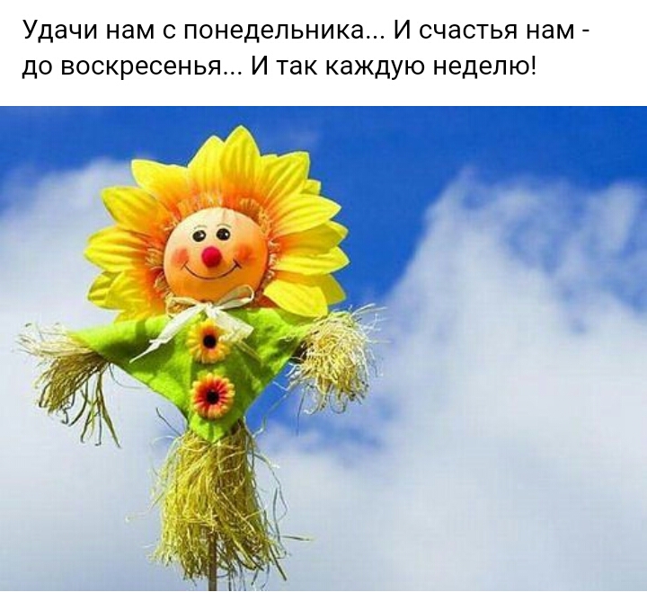 Удачи нам с понедельника И счастья нам до воскресенья И так каждую неделю