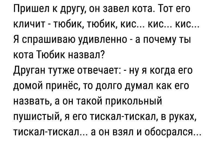 Взяв в руки балалайку отец удивленно спросил ты сделал схема